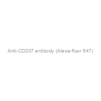Anti-CD207 antibody (Alexa-fluor 647)
